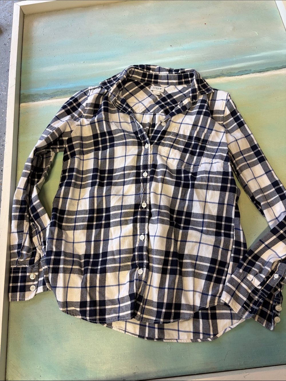 J. Crew Navy and White Plaid Button-Down Shirt